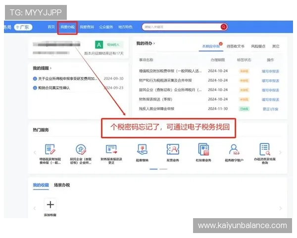 开云app登录入口忘记密码怎么办快速找回账号密码的方法详解